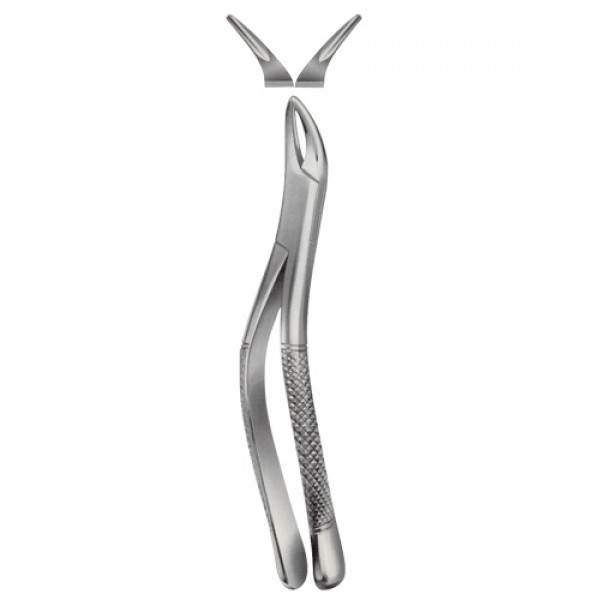 Tooth Extracting Forceps